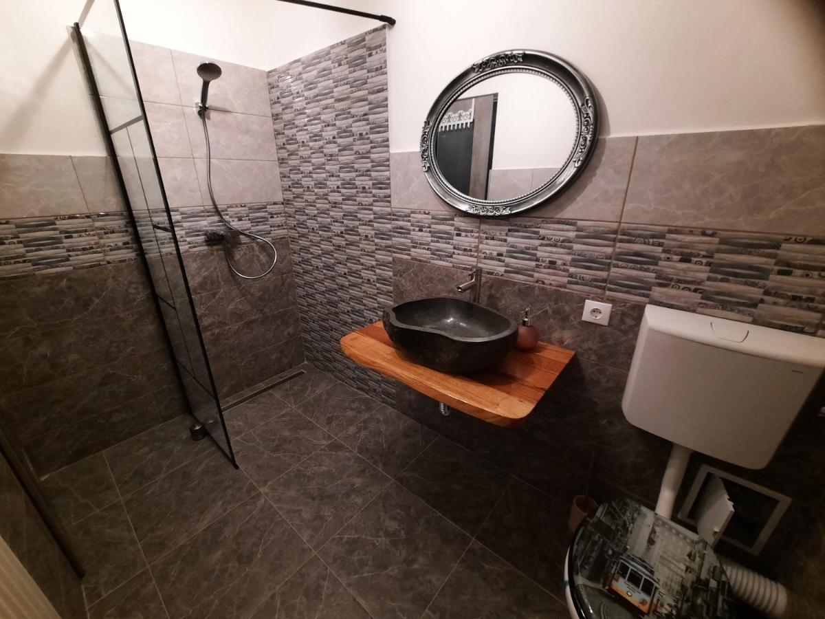 Hotel Vis Implinit Cîrţişoara Zewnętrze zdjęcie