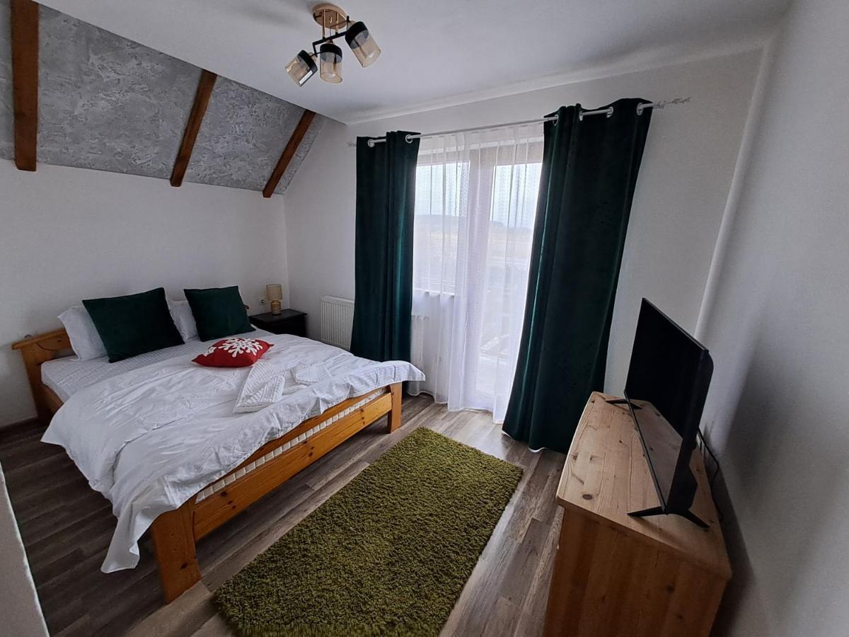 Hotel Vis Implinit Cîrţişoara Zewnętrze zdjęcie
