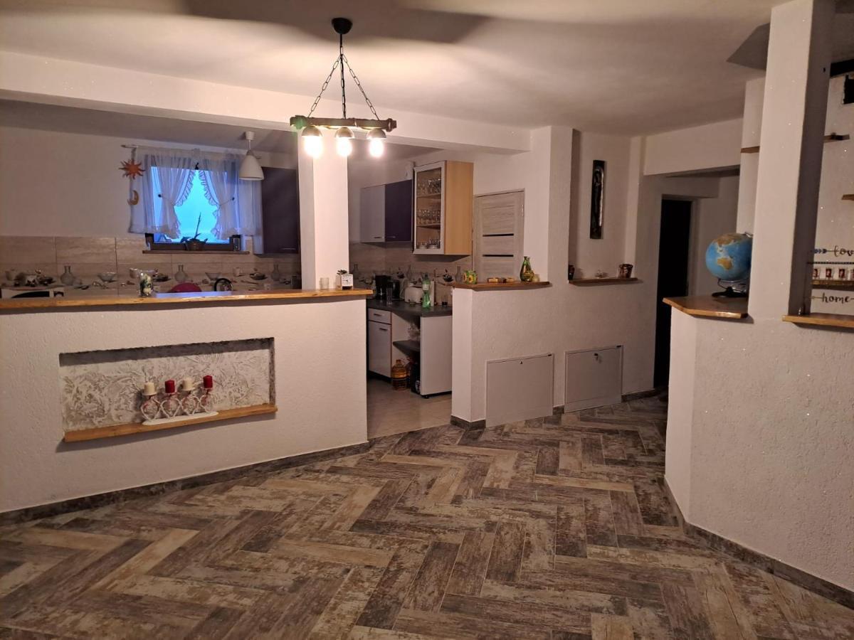 Hotel Vis Implinit Cîrţişoara Zewnętrze zdjęcie