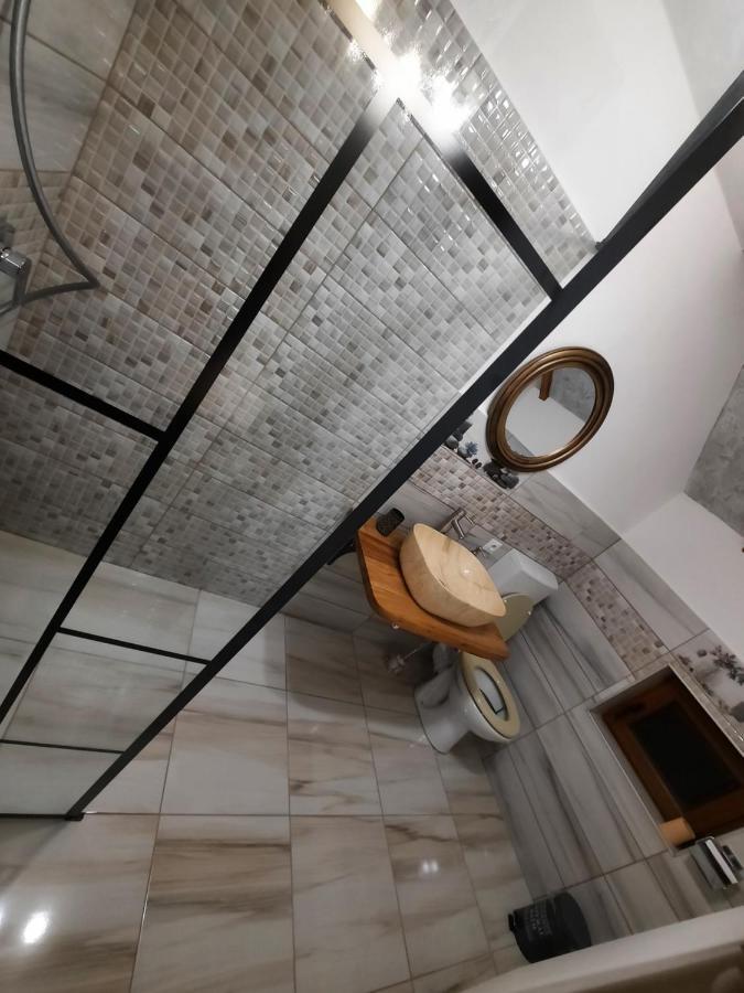 Hotel Vis Implinit Cîrţişoara Zewnętrze zdjęcie