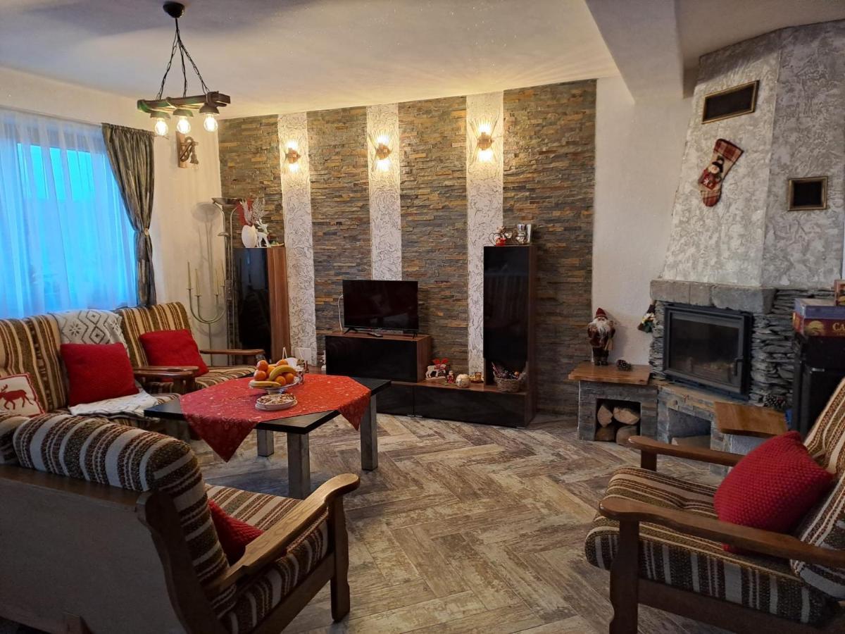 Hotel Vis Implinit Cîrţişoara Zewnętrze zdjęcie