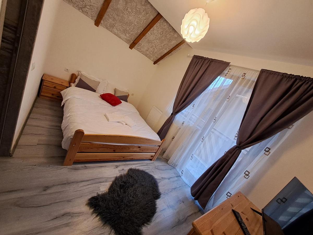 Hotel Vis Implinit Cîrţişoara Pokój zdjęcie