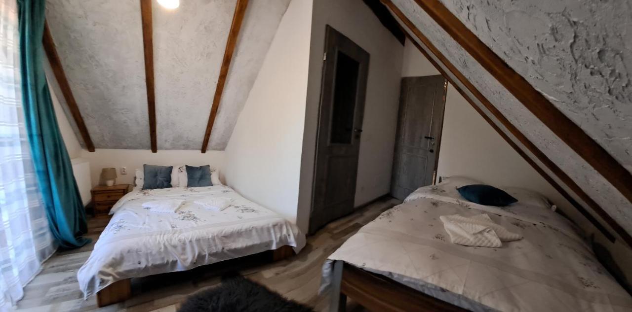 Hotel Vis Implinit Cîrţişoara Zewnętrze zdjęcie