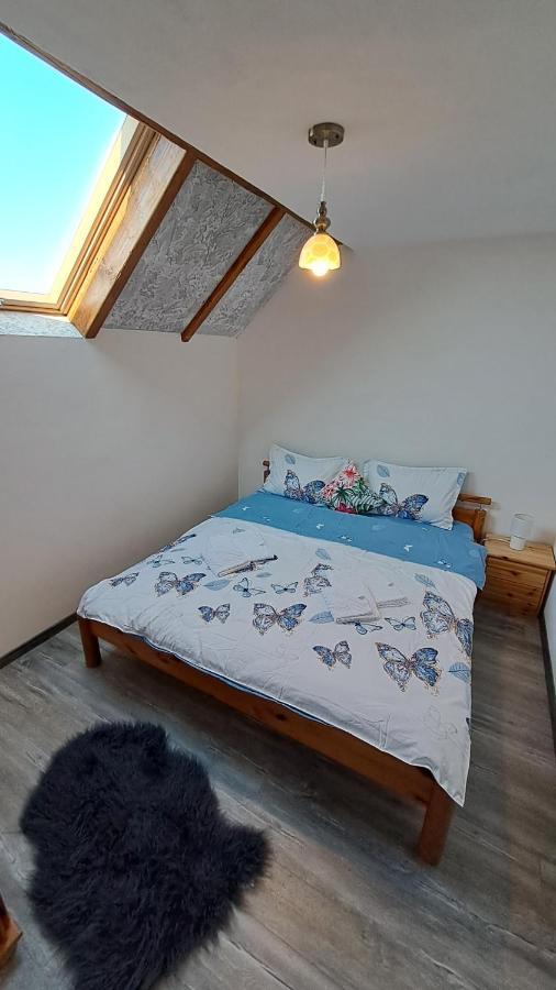 Hotel Vis Implinit Cîrţişoara Zewnętrze zdjęcie