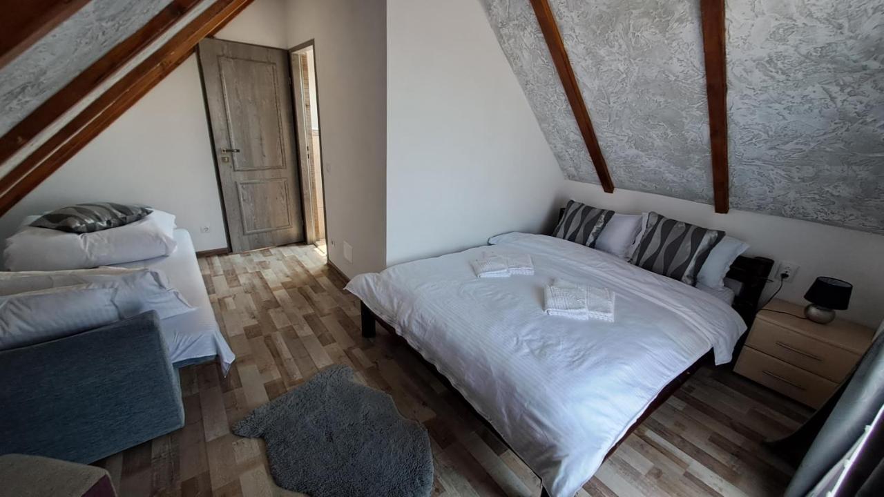 Hotel Vis Implinit Cîrţişoara Zewnętrze zdjęcie