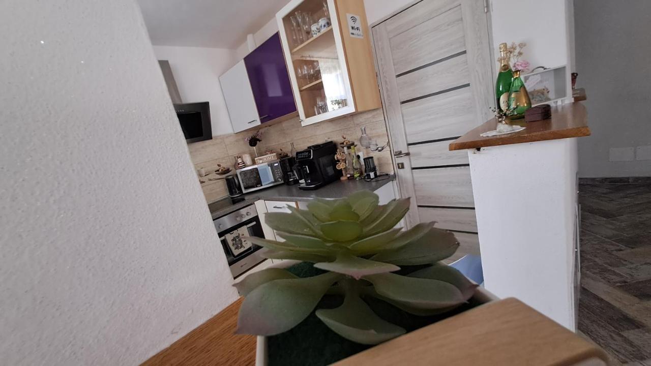 Hotel Vis Implinit Cîrţişoara Zewnętrze zdjęcie