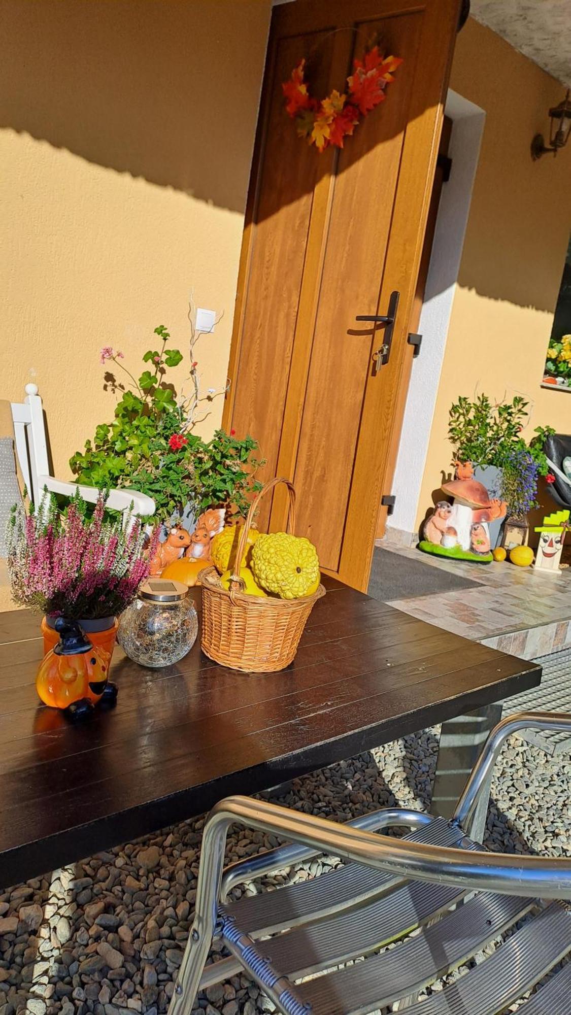Hotel Vis Implinit Cîrţişoara Zewnętrze zdjęcie