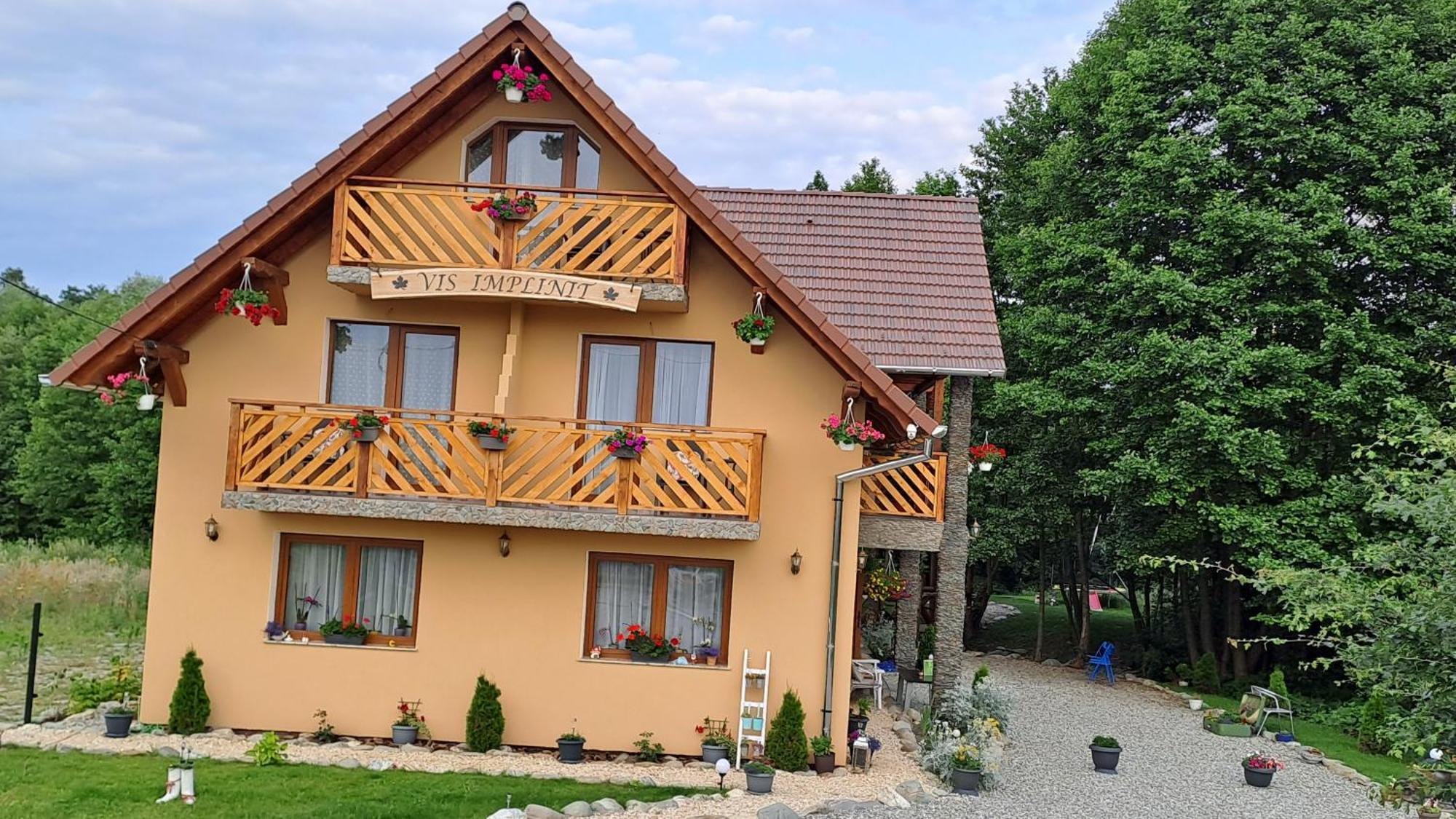 Hotel Vis Implinit Cîrţişoara Zewnętrze zdjęcie